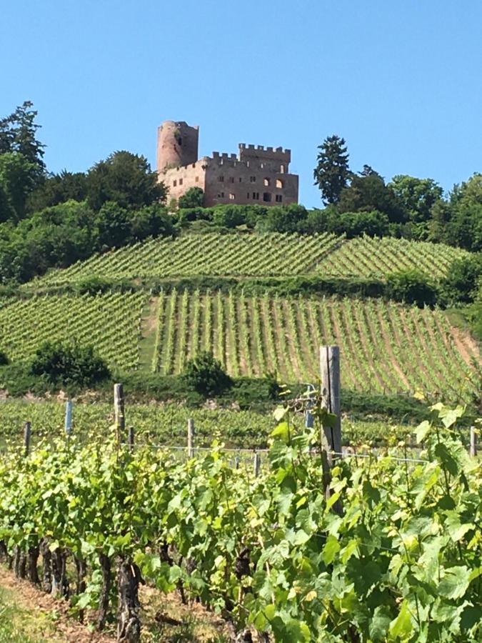 La Cour St-Fulrad - Les Suites Saint-Hippolyte  Luaran gambar